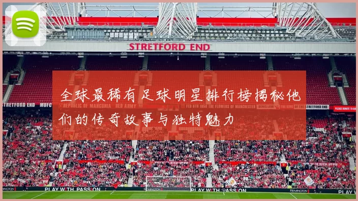 全球最稀有足球明星排行榜揭秘他们的传奇故事与独特魅力