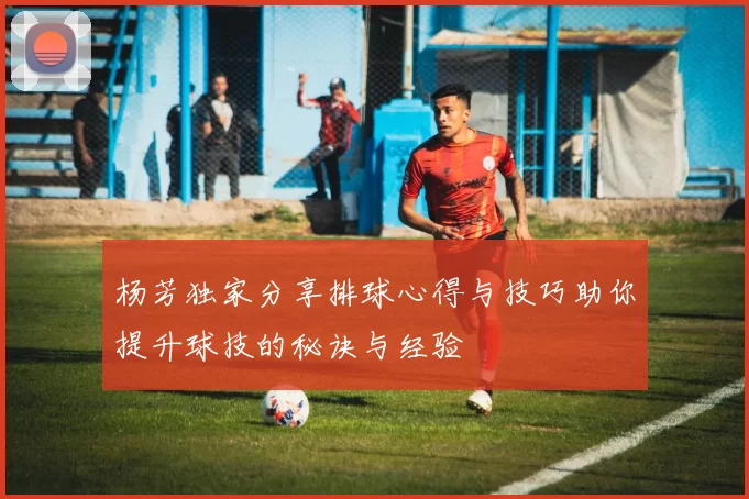 杨芳独家分享排球心得与技巧助你提升球技的秘诀与经验