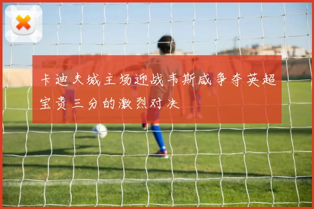 卡迪夫城主场迎战韦斯咸争夺英超宝贵三分的激烈对决