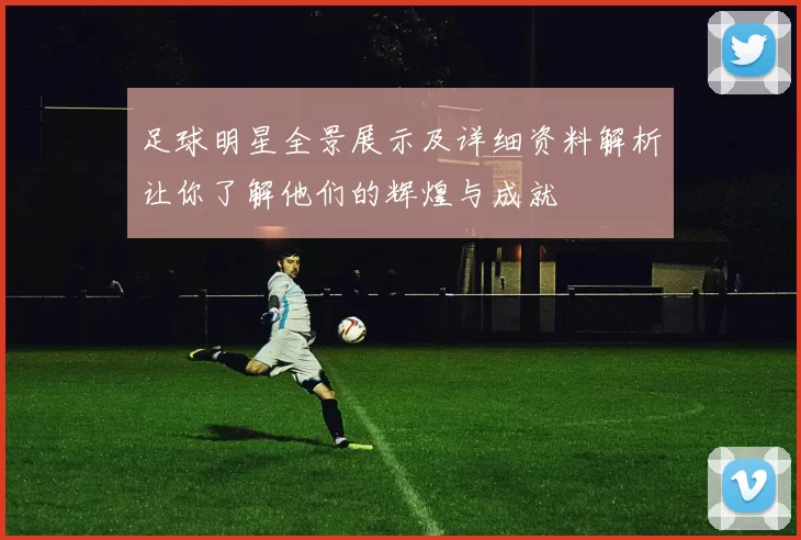 足球明星全景展示及详细资料解析让你了解他们的辉煌与成就