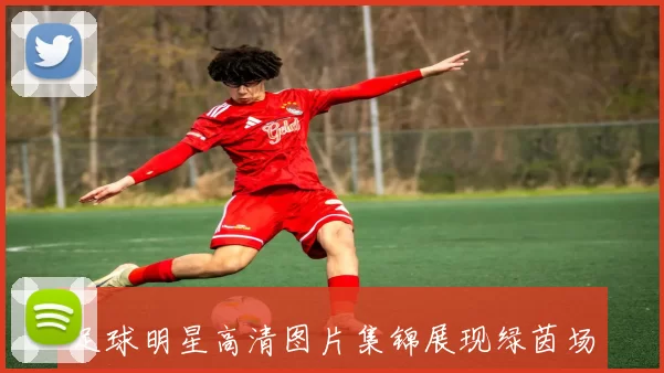 足球明星高清图片集锦展现绿茵场上的传奇瞬间与辉煌时刻