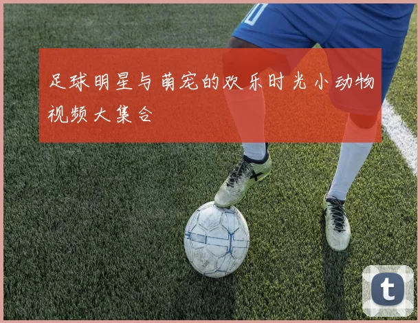 足球明星与萌宠的欢乐时光小动物视频大集合