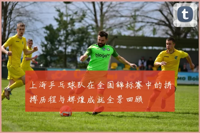 上海乒乓球队在全国锦标赛中的拼搏历程与辉煌成就全景回顾