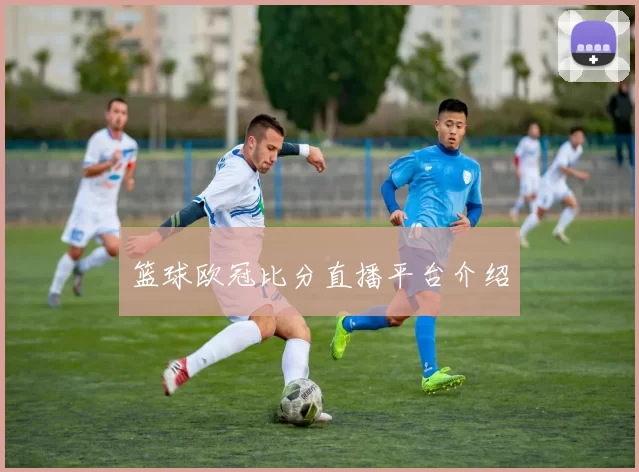 篮球欧冠比分直播平台介绍