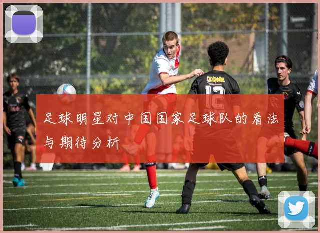 足球明星对中国国家足球队的看法与期待分析
