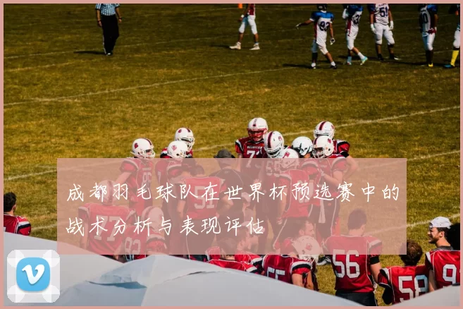 成都羽毛球队在世界杯预选赛中的战术分析与表现评估