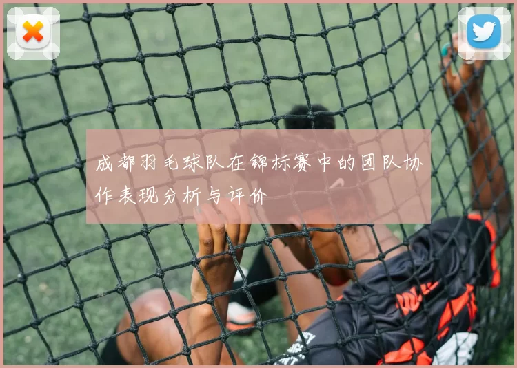 成都羽毛球队在锦标赛中的团队协作表现分析与评价
