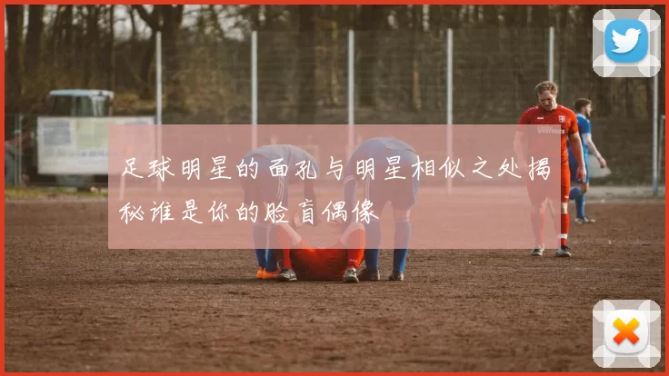 足球明星的面孔与明星相似之处揭秘谁是你的脸盲偶像