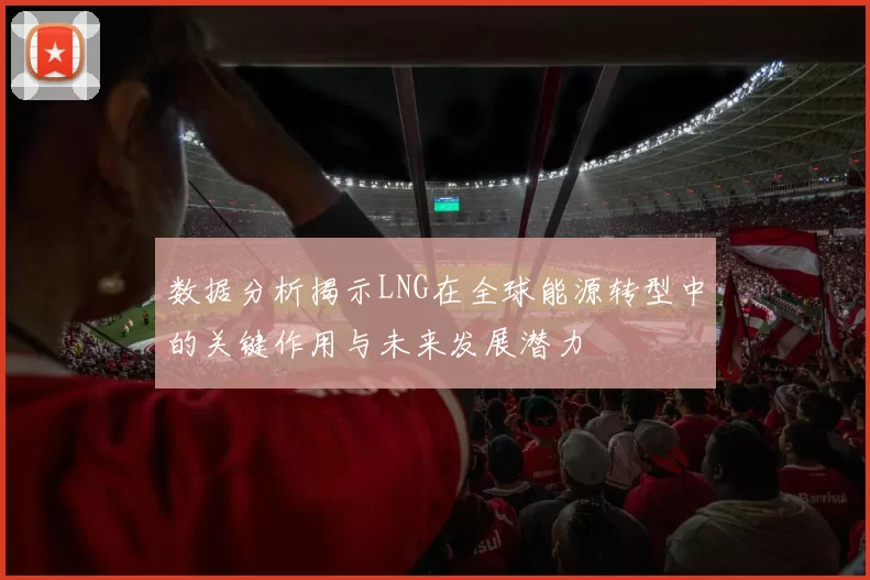 数据分析揭示LNG在全球能源转型中的关键作用与未来发展潜力