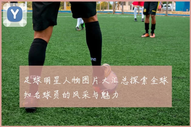 足球明星人物图片大汇总探索全球知名球员的风采与魅力
