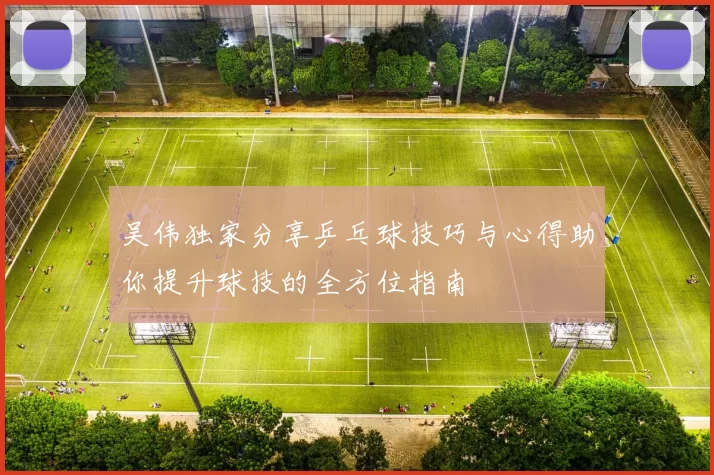 吴伟独家分享乒乓球技巧与心得助你提升球技的全方位指南