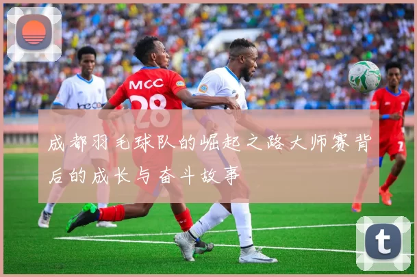 成都羽毛球队的崛起之路大师赛背后的成长与奋斗故事