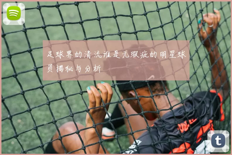 足球界的清流谁是无瑕疵的明星球员揭秘与分析
