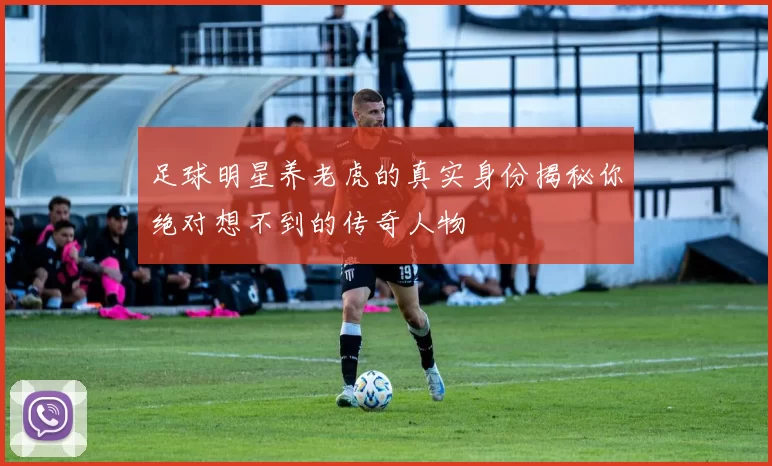 足球明星养老虎的真实身份揭秘你绝对想不到的传奇人物