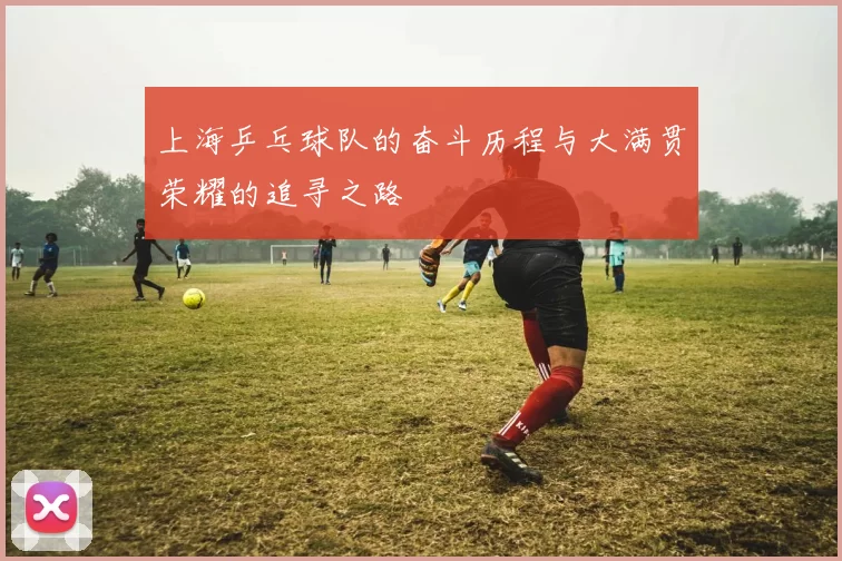 上海乒乓球队的奋斗历程与大满贯荣耀的追寻之路
