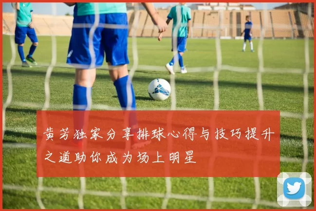 黄芳独家分享排球心得与技巧提升之道助你成为场上明星