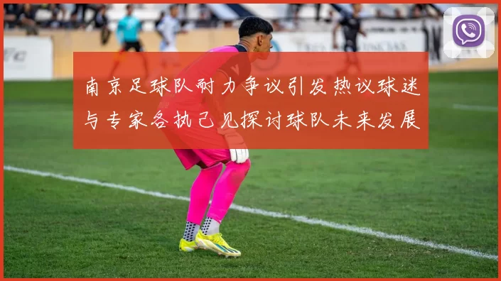 南京足球队耐力争议引发热议球迷与专家各执己见探讨球队未来发展方向