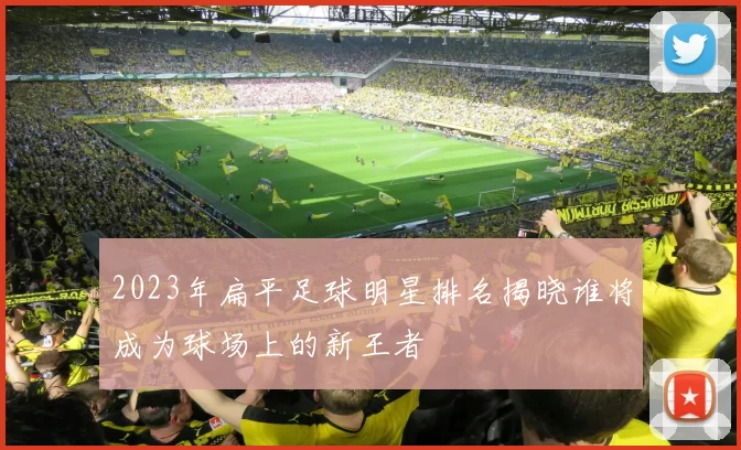2023年扁平足球明星排名揭晓谁将成为球场上的新王者