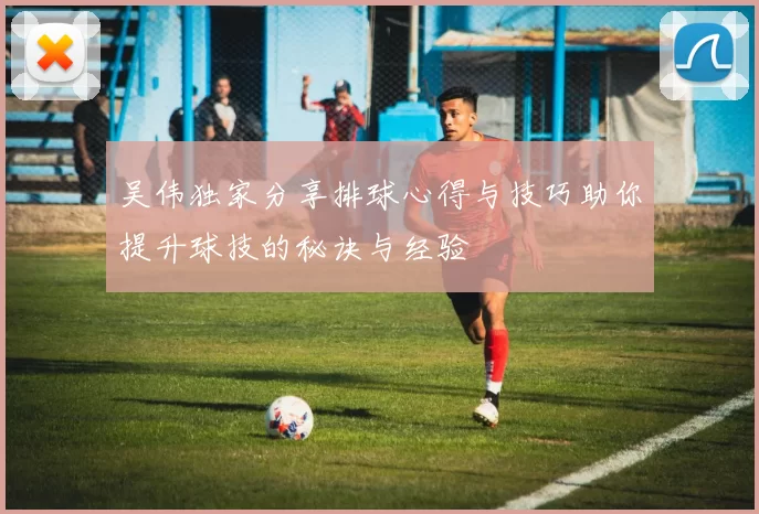 吴伟独家分享排球心得与技巧助你提升球技的秘诀与经验