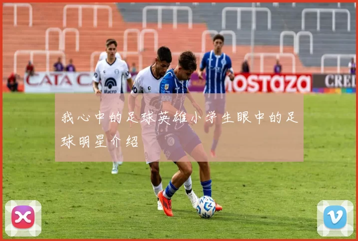 我心中的足球英雄小学生眼中的足球明星介绍