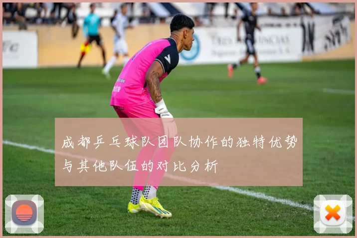 成都乒乓球队团队协作的独特优势与其他队伍的对比分析