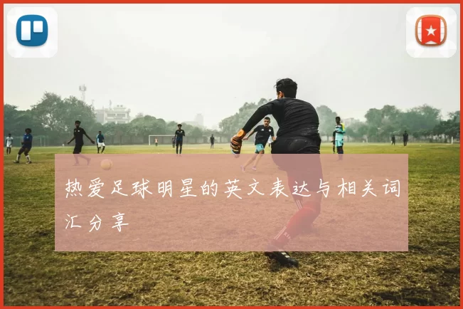 热爱足球明星的英文表达与相关词汇分享