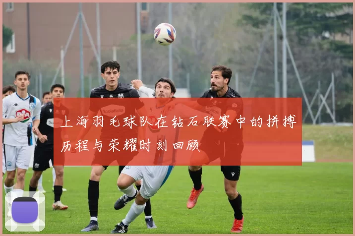 上海羽毛球队在钻石联赛中的拼搏历程与荣耀时刻回顾