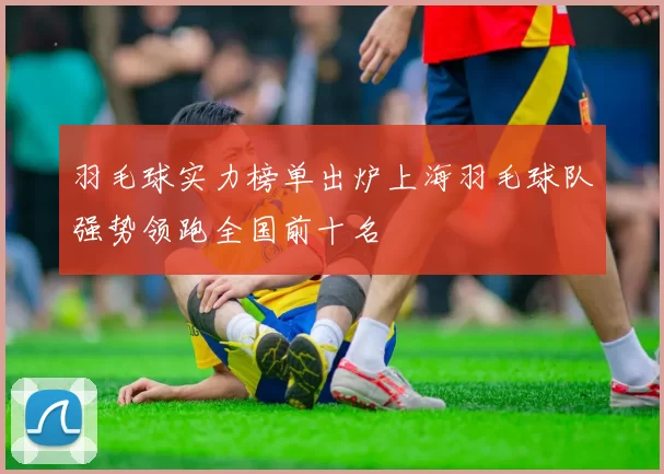 羽毛球实力榜单出炉上海羽毛球队强势领跑全国前十名