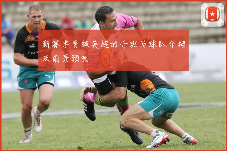 新赛季晋级英超的升班马球队介绍及前景预测