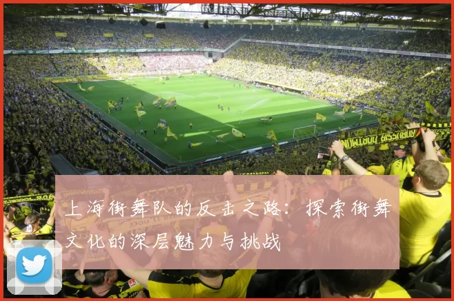 上海街舞队的反击之路：探索街舞文化的深层魅力与挑战