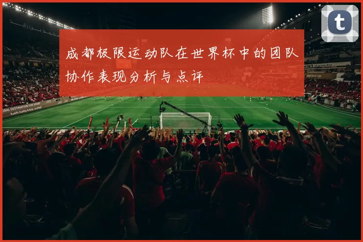 成都极限运动队在世界杯中的团队协作表现分析与点评